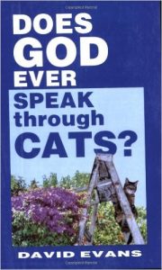 Does God Ever Speak Through Cats