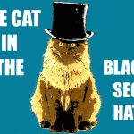 The Cat in the Black SEO Hat
