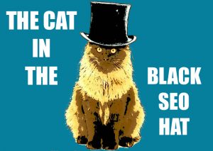 The Cat in the Black SEO Hat